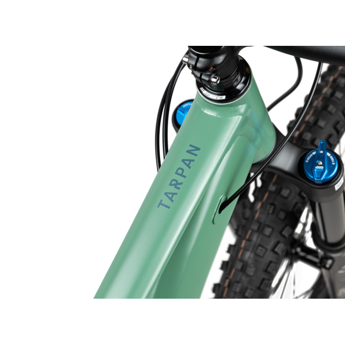 Pells Tarpan AM 1 Moss green - L