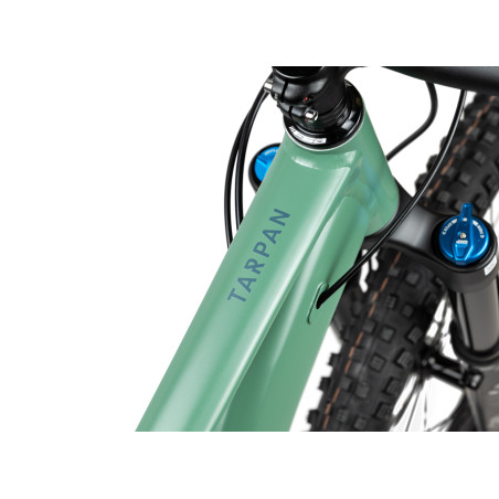 Pells Tarpan AM 1 Moss green - L