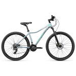 Corpha 5 MK-II M-430-17-W29 color 202 Minty Gray