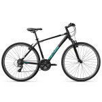 Zodin 5 MK-II L-480-19 color 303 Dark Minty
